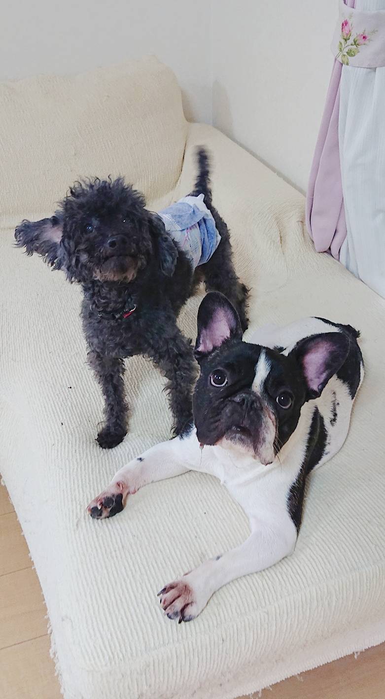 ジョイ君＆ブッチャー君☆