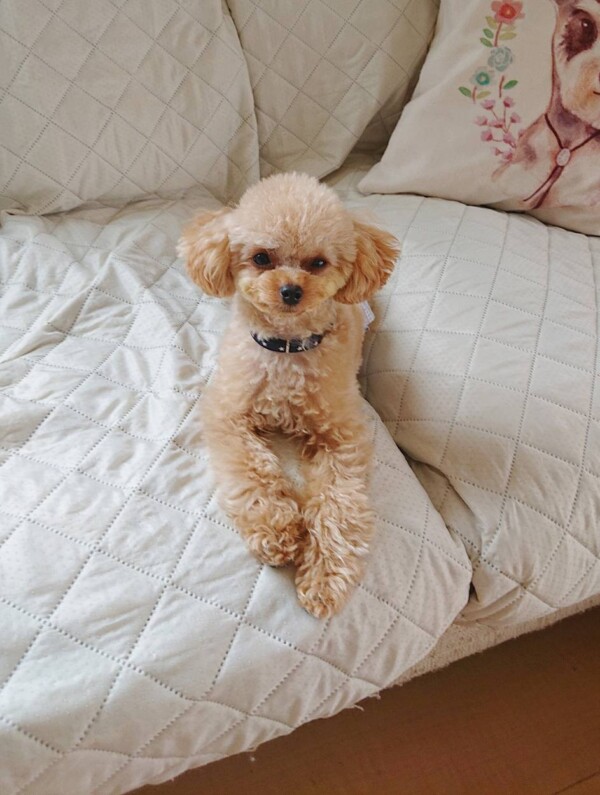 GW参入セナ君☆