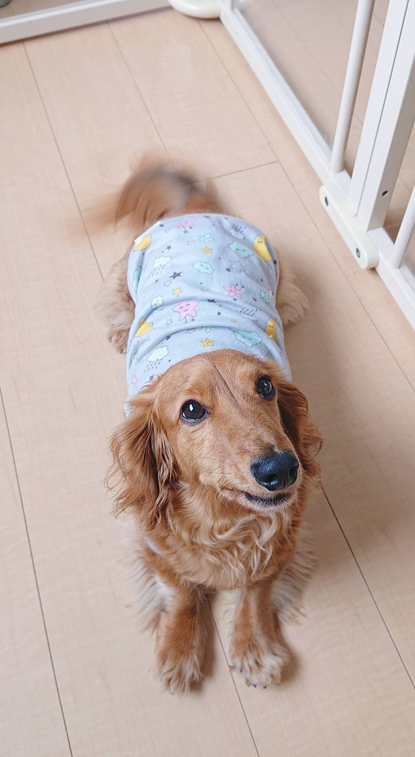 リピートのマロン君☆