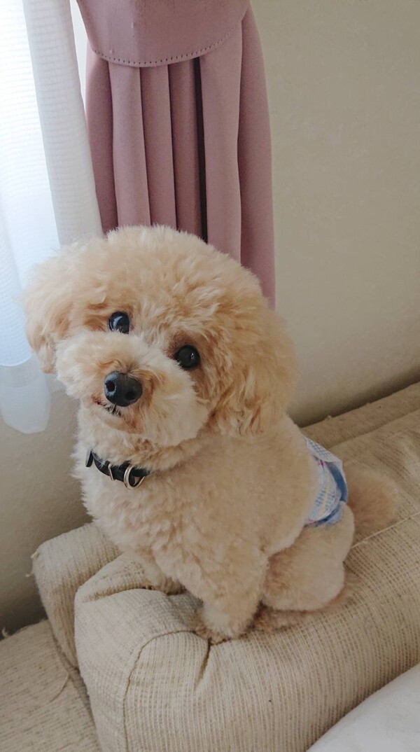 ３日間マメ君☆