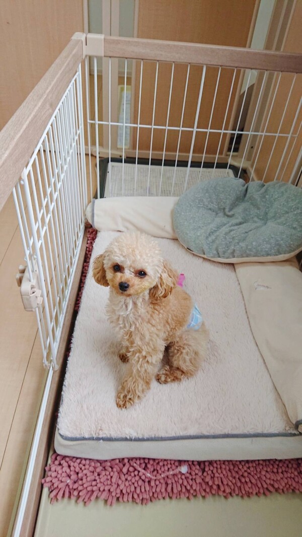 今月２回目セナ君☆