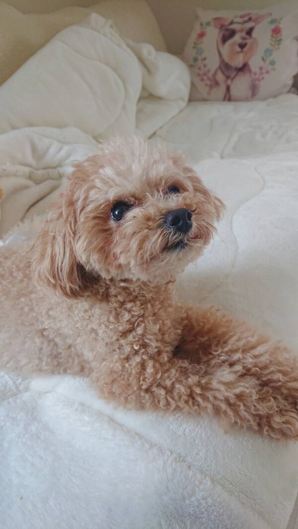 シッター貸切リピート海蘭ちゃん☆