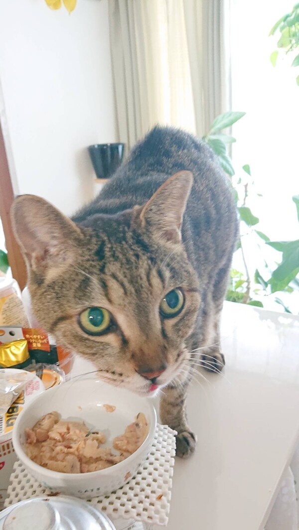 ラスト訪問の颯太君・六太君☆