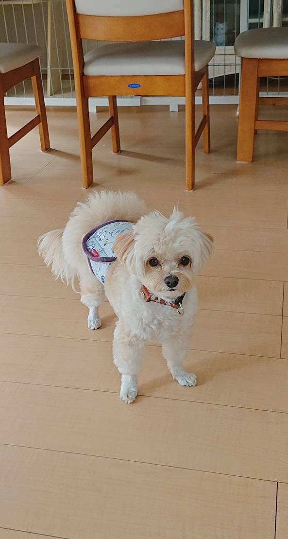 平和空間リアム君☆