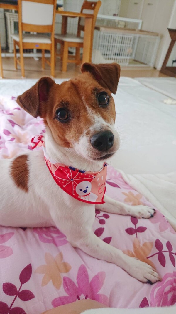 ジャックすずちゃん☆