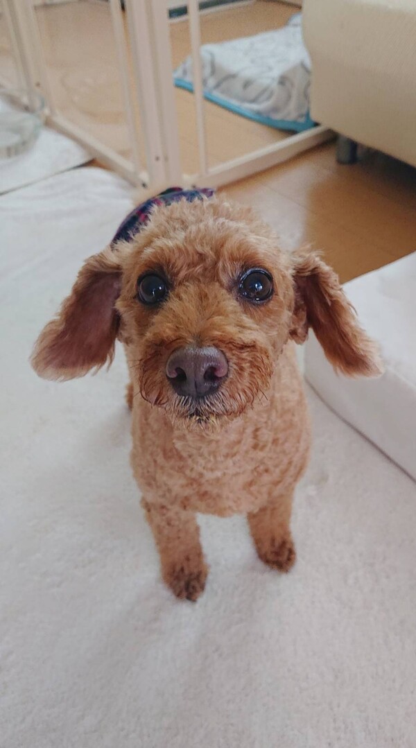 ４匹と相部屋プク君☆