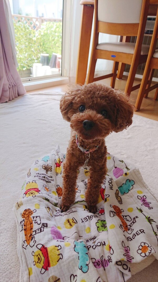 お気楽マウムちゃん☆