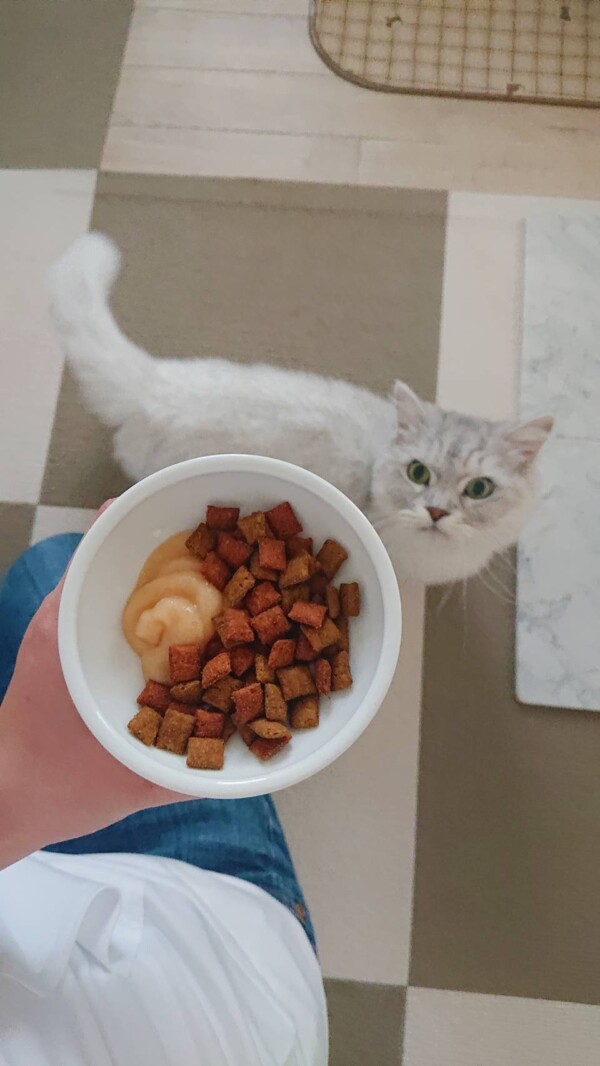 オヤツめあてのぎん君☆