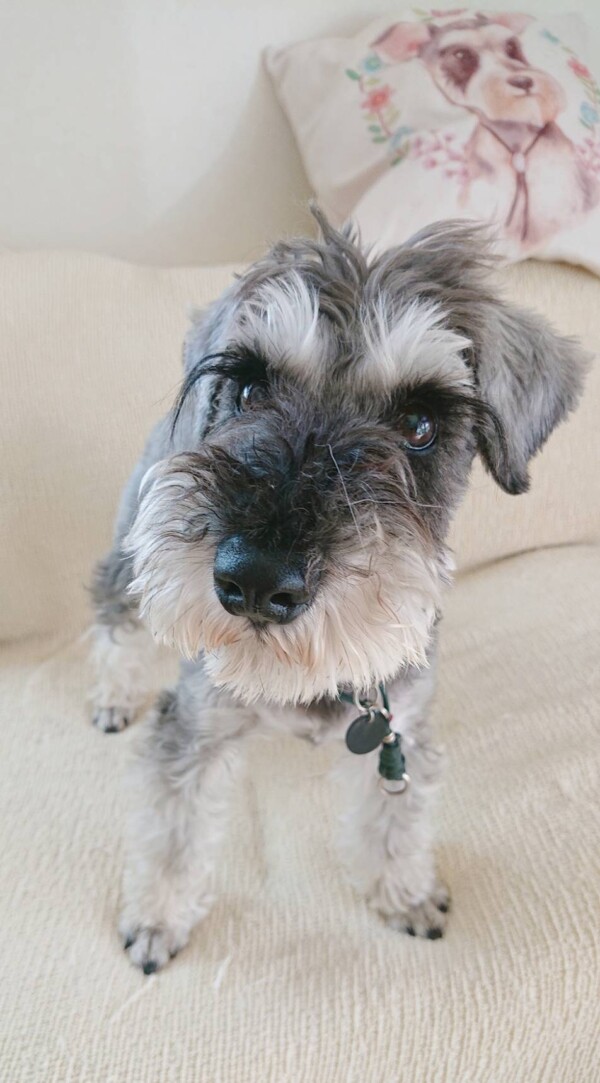 １０日間モモ君☆