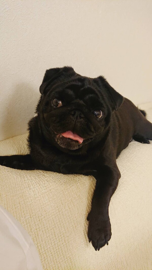 シャンプーもずくちゃん☆