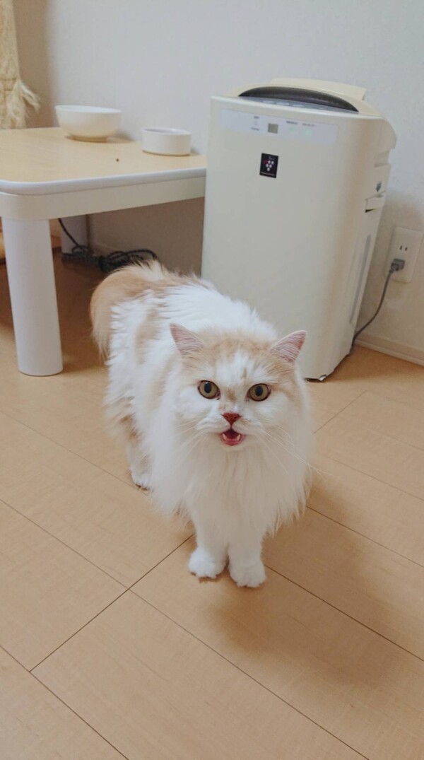 最後のお泊りモモ君☆