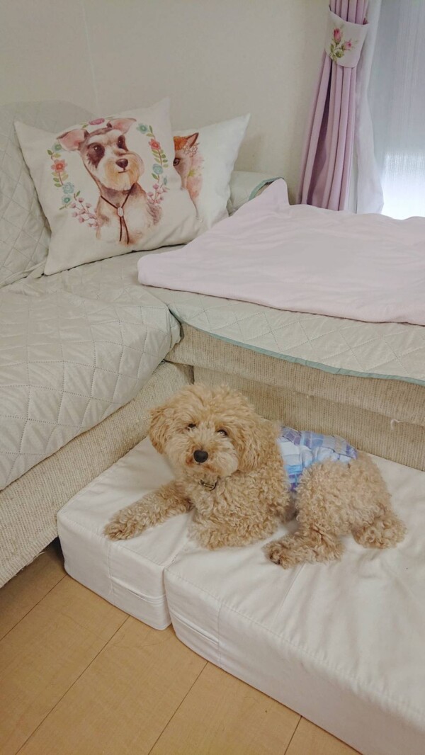 ダラダラのマメ君☆