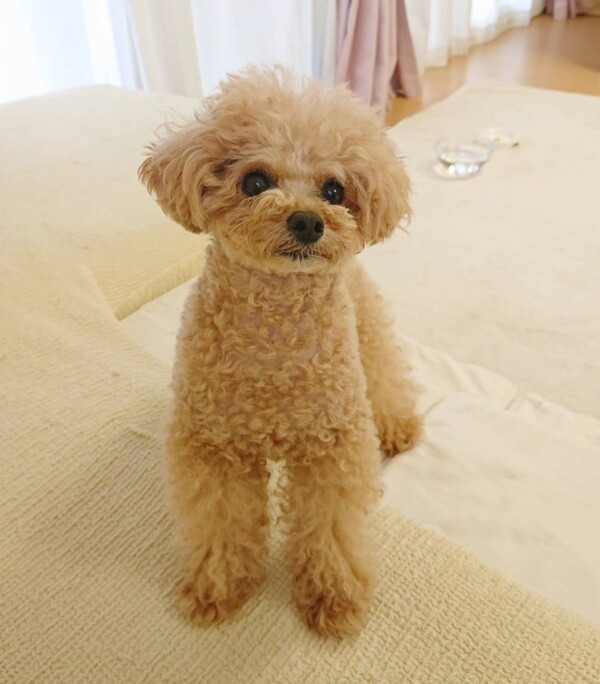 慣れて来た海蘭ちゃん☆