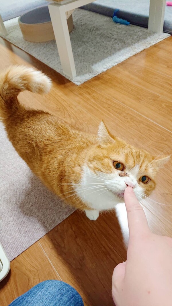 変わらないまるちゃん☆