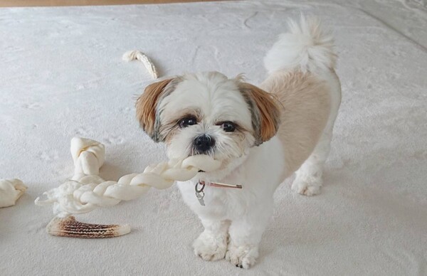 リピートのズーシィちゃん☆