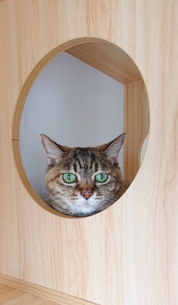 丸穴まめちゃん☆