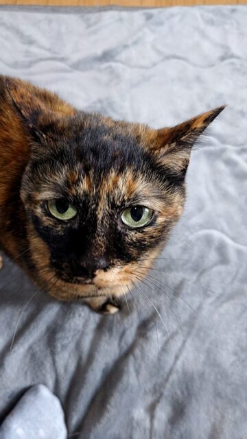 元気なお天ちゃん「尼崎市」