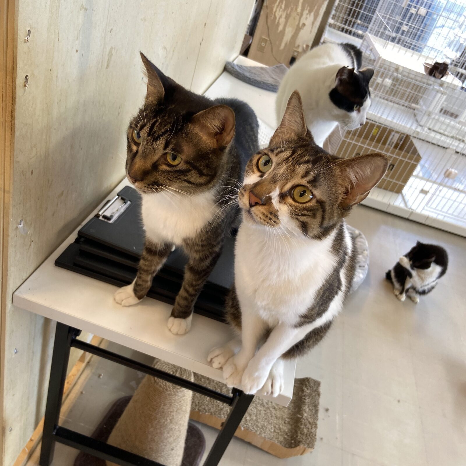 ２０２５年ゴールデンウィーク繁忙期のお知らせ