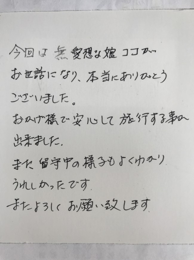 ペットシッター　茨木市　猫のココちゃんのご家族様