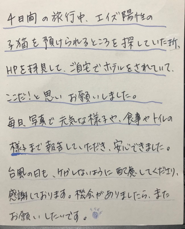 ペットホテル　猫のモモちゃんのご家族様