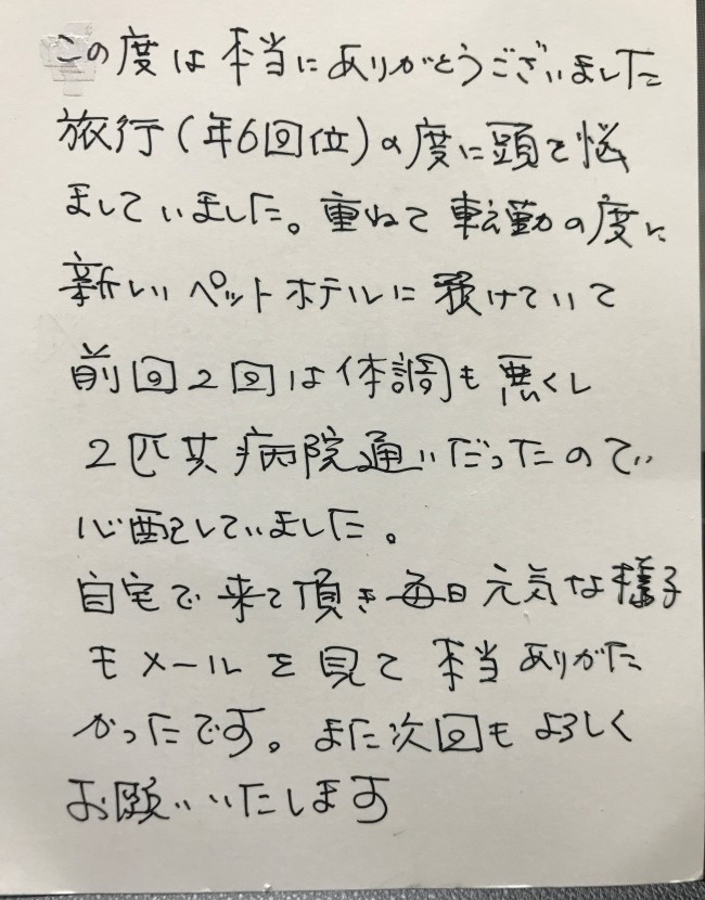 ペットシッター　犬のキャンディくん・ルンルンくんのご家族様