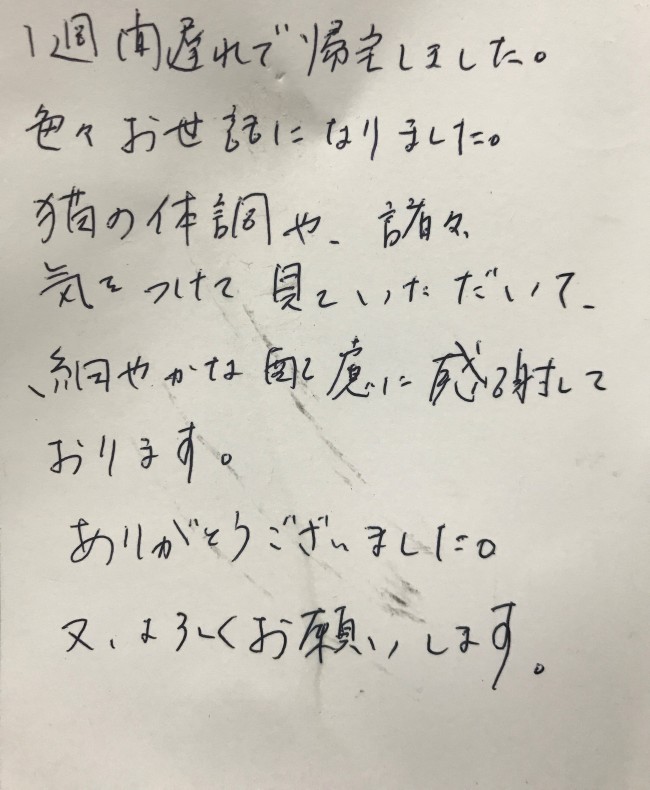 ペットホテル　猫のモカちゃんのご家族様