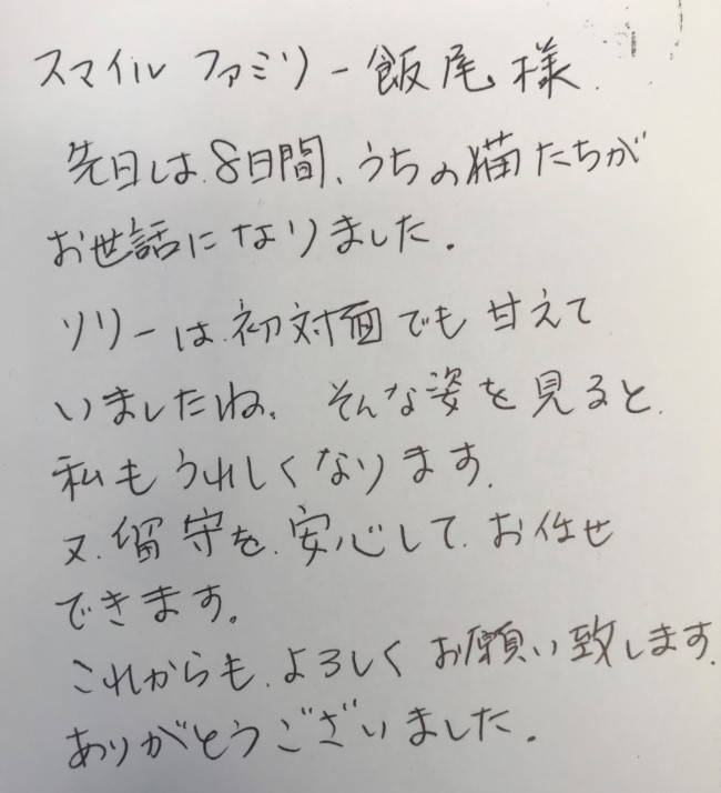 ペットシッター　猫のリリーちゃんとマーブルちゃんのご家族様
