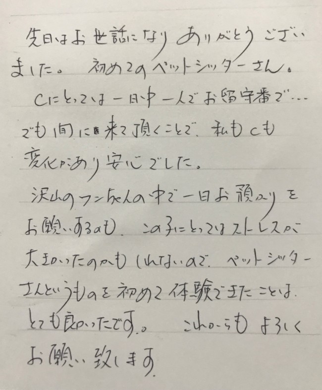 ペットシッター　ダックスフントのCくんのご家族様