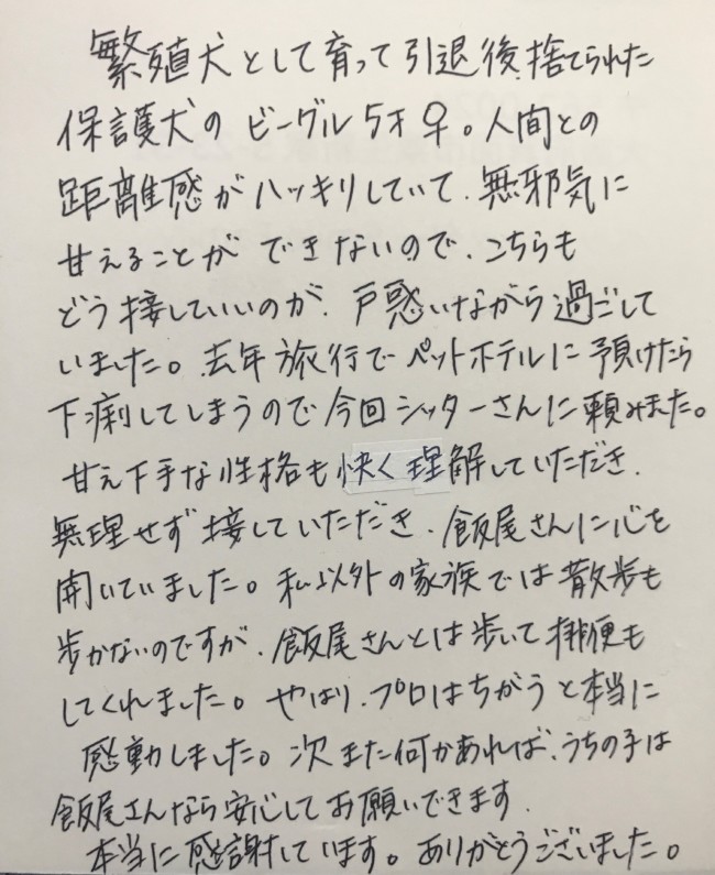 ペットシッター　ビーグル犬　つくねちゃんのご家族様