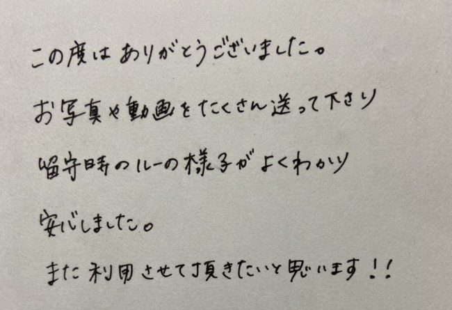 ペットシッター　箕面市　ロシアンブルー　ルーちゃんのご家族様