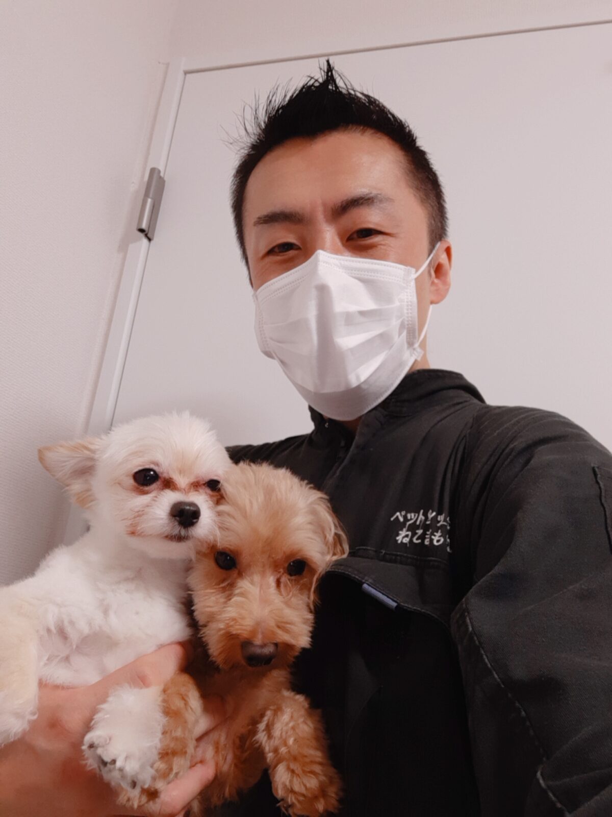 新宿区 ご新規様 ダップーくん&チワプーくん お世話報告