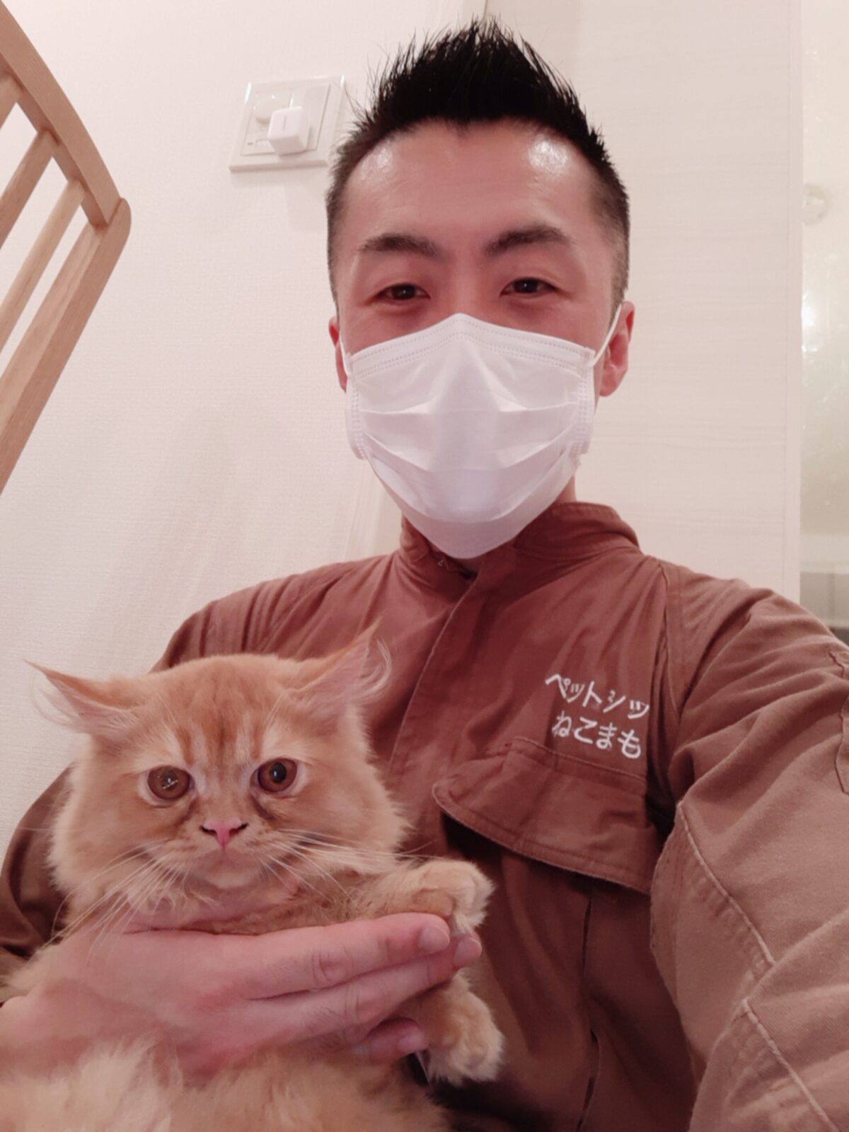 新宿区 お得意様 ふっかふか ミヌエットくん お世話報告