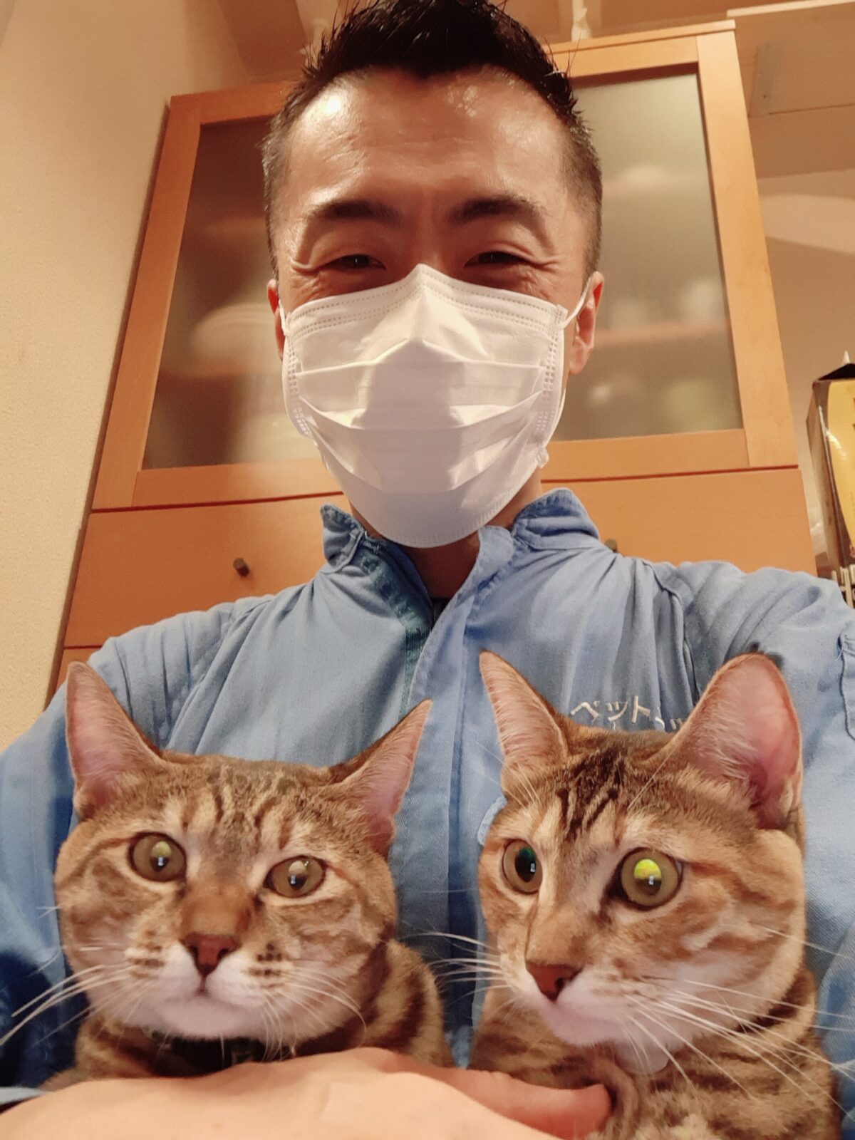 中野区 お得意様 仲良し双子ニャンちゃん お世話報告