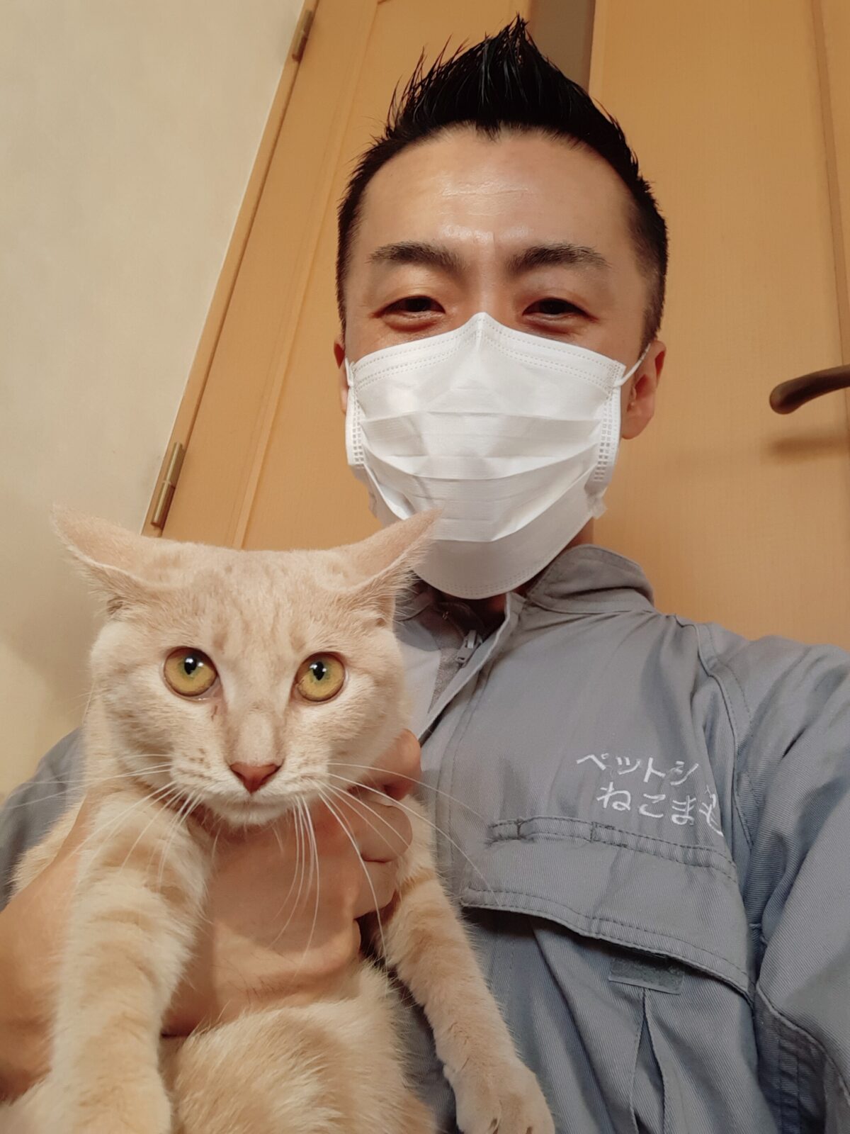 中野区 お得意様 保護猫ニャンちゃん お世話報告