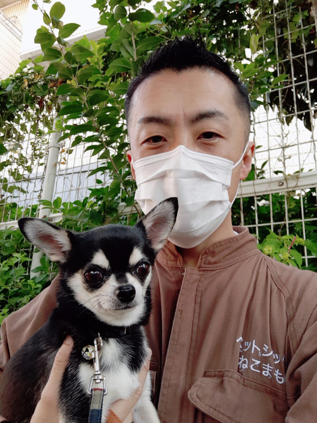 江戸川区 お得意様 わんにゃんファミリー お世話報告