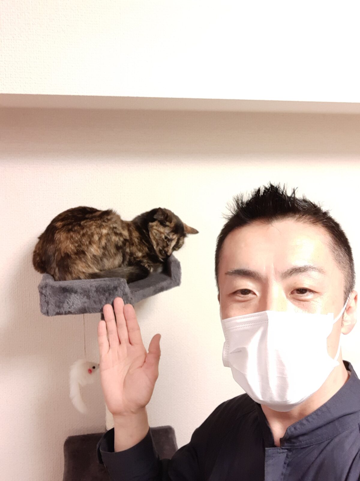 新宿区 お得意様 お眠なマーブルちゃん お世話報告