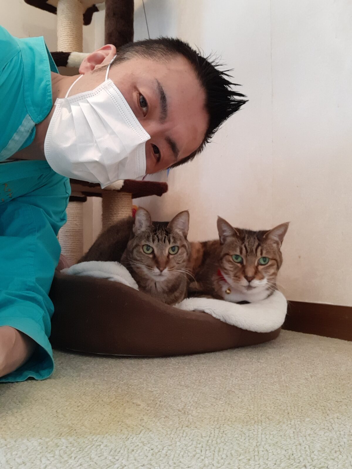 中野区 お得意様 大家族4にゃんず お世話報告