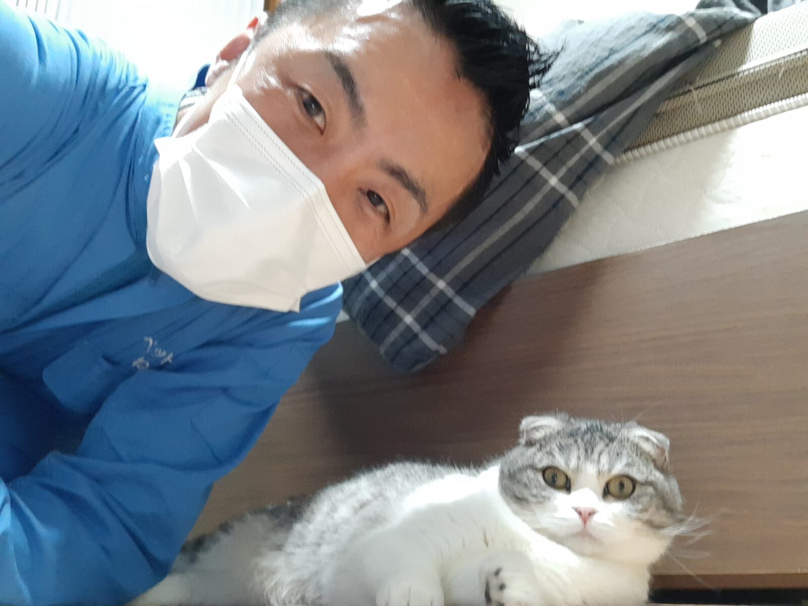 新宿区 ご新規様 ま〜んまるスコちゃん お世話報告