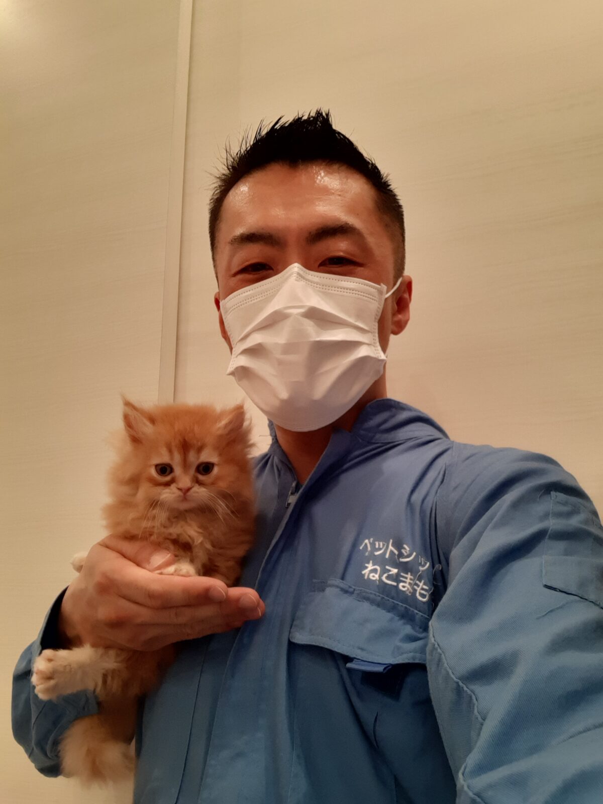 新宿区 ご新規様 赤ちゃんミヌエットくん お世話報告