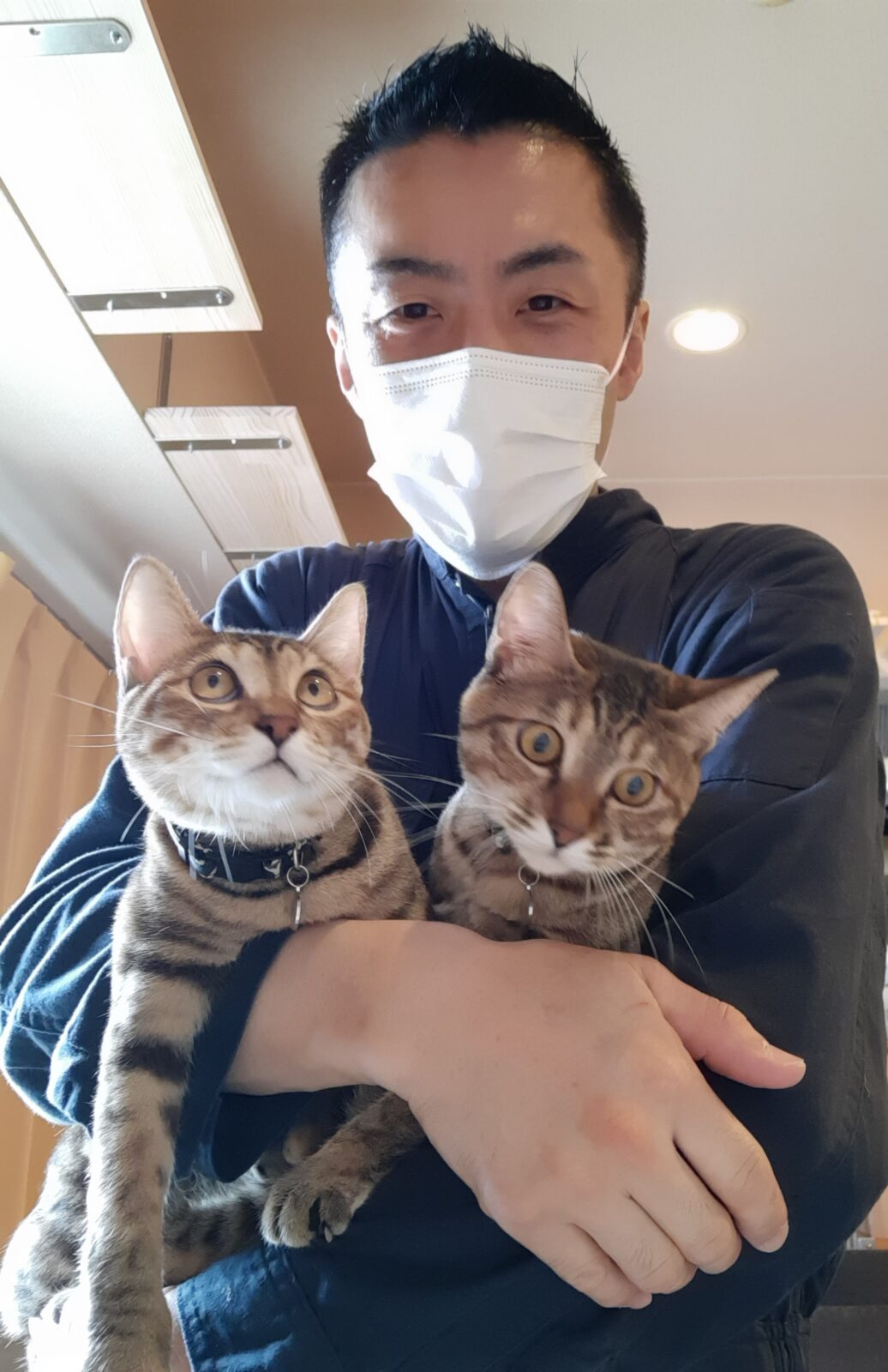 中野区 お得意様 かしこい双子ニャンちゃん お世話報告