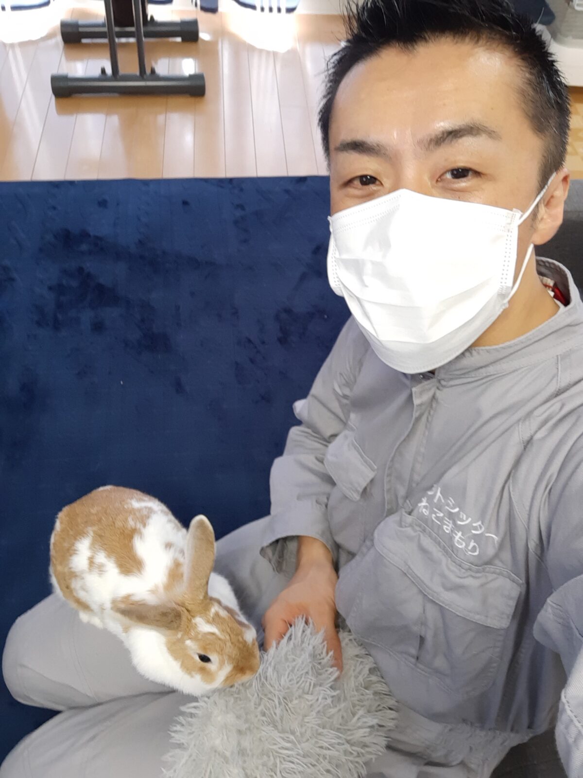 新宿区 ご新規様 ぴょんピョンぴょん ホーランドロップイヤーラビットちゃん お世話報告