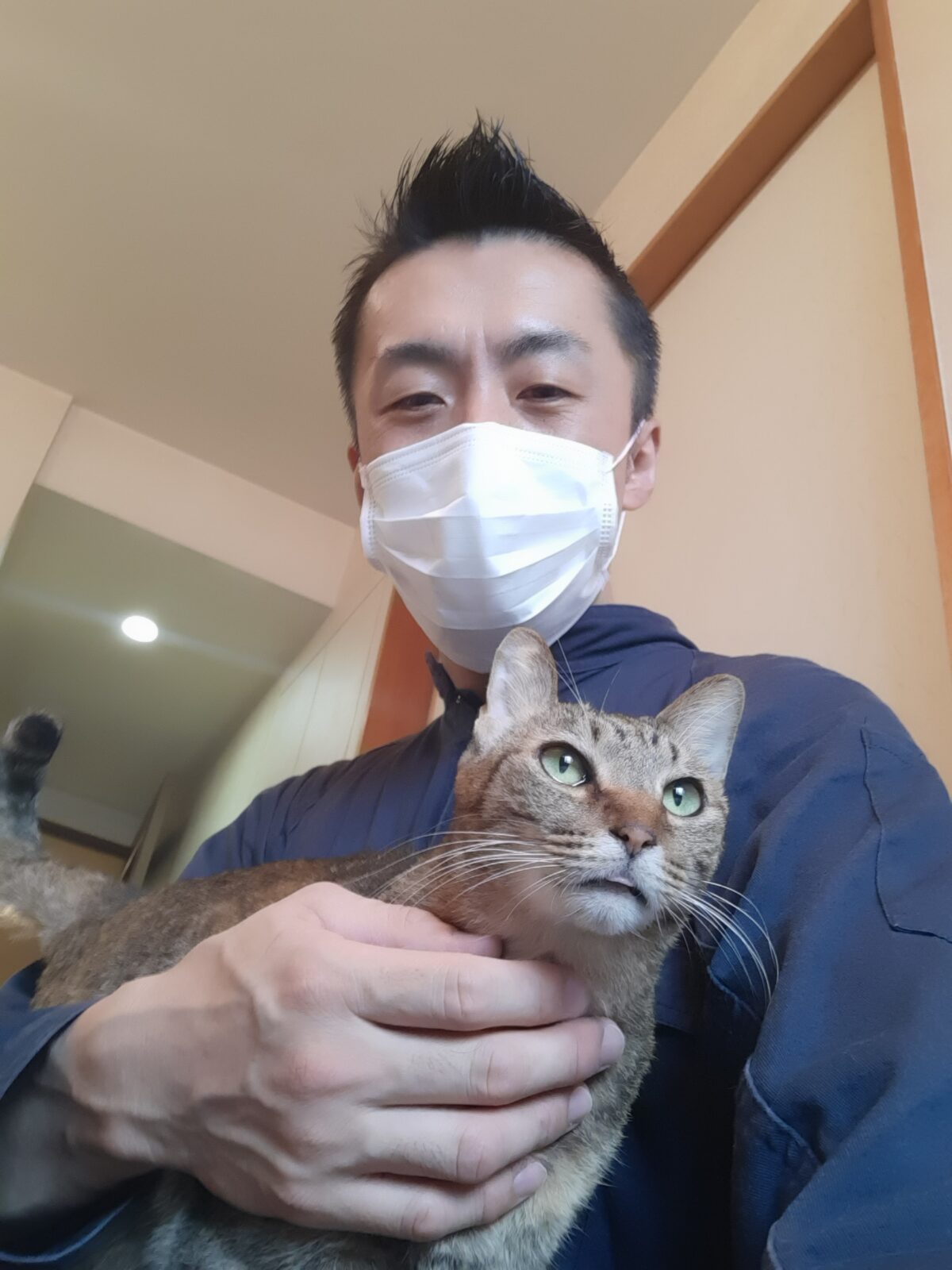 中野区 お得意様 仲良し4にゃんず  お世話報告