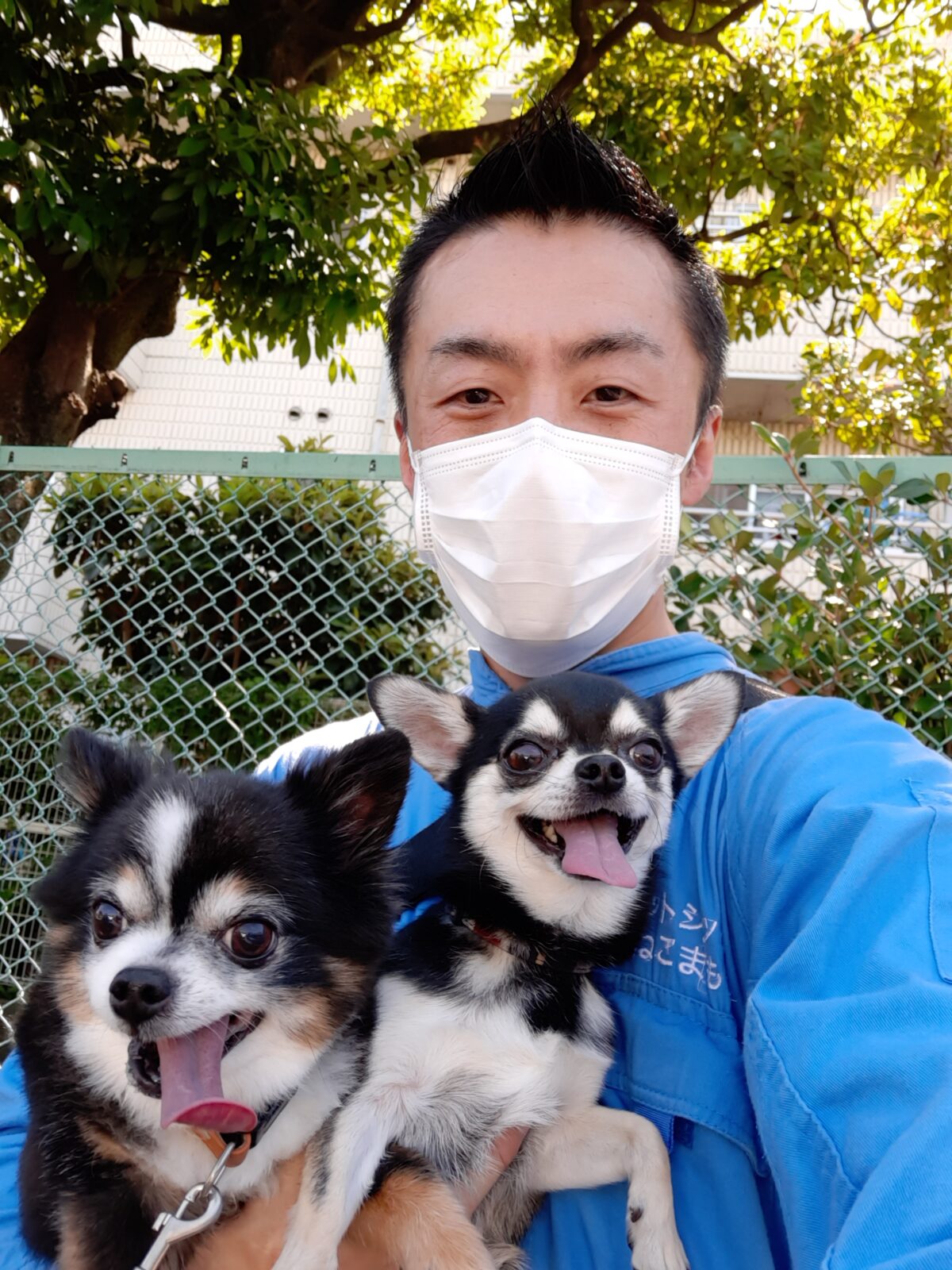 江戸川区 お得意様 わんにゃんファミリー お世話報告