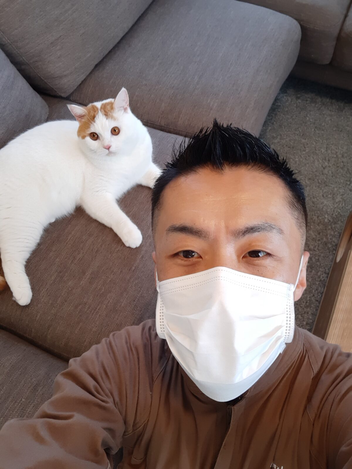 新宿区 ご新規様 早技ッ!!猫パ〜ンチ スコちゃん お世話報告