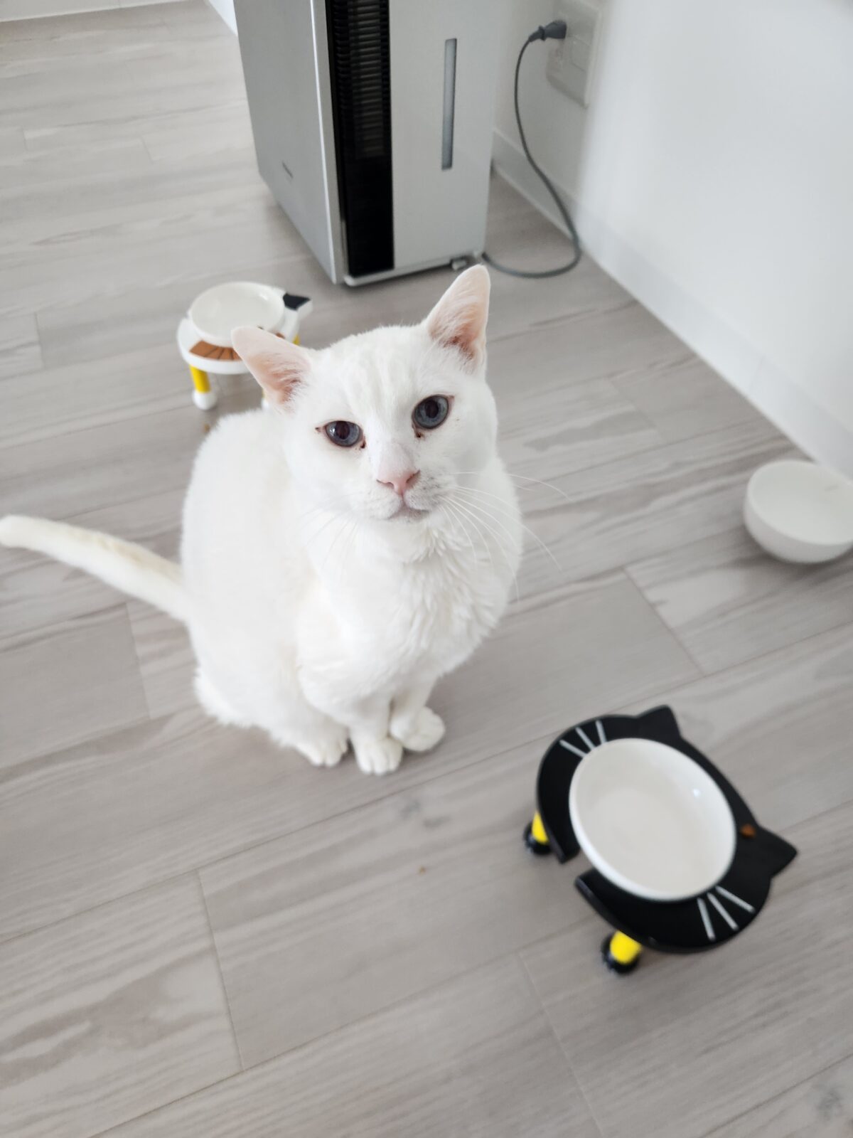 宮崎市柳丸のレンくん達🍀