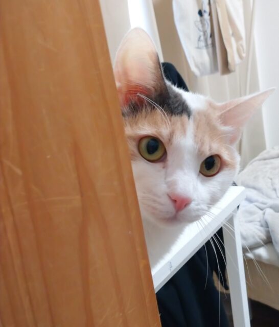 お留守番頑張ったね(*´ω｀*)