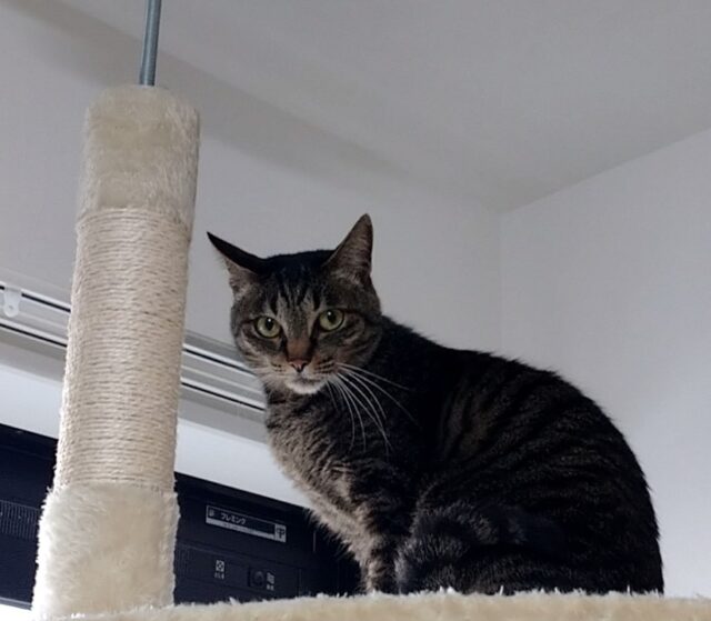 お久しぶりだね🎵まひろちゃん❤️「尼崎市」