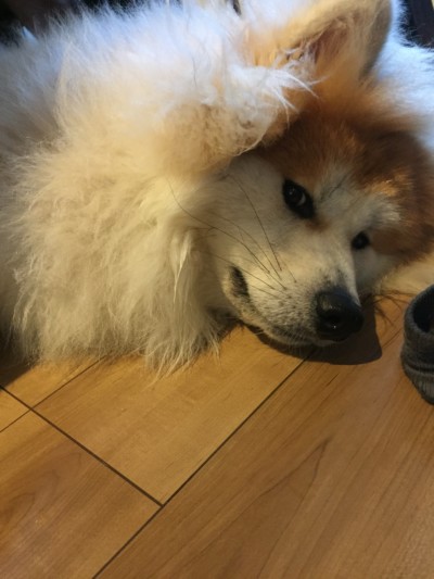 カウンセリング♪