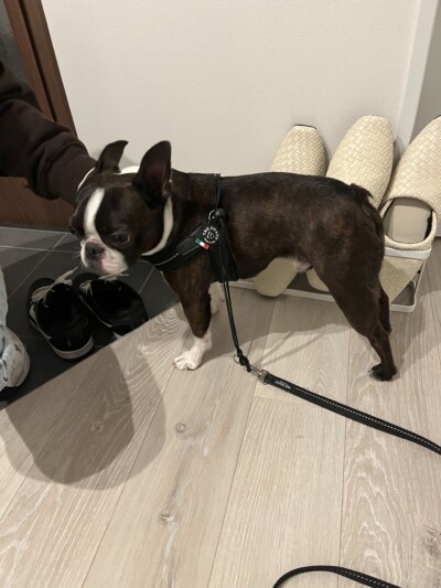 初回カウンセリング