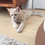 カウンセリング♪